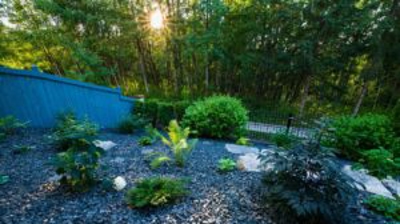 Sun-drenched backyard with dark blue fence and gravel landscaping. Photo